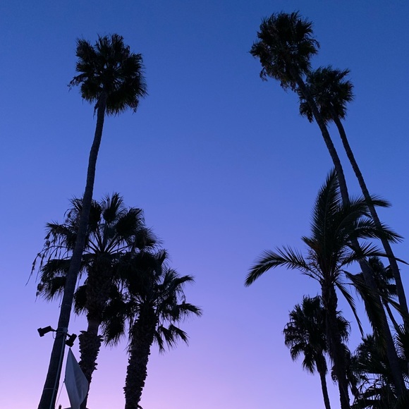 Meet your Posher, Chloe :) - Picture 1 of 1